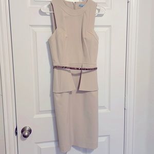 Antonio Melani Dress with Belt